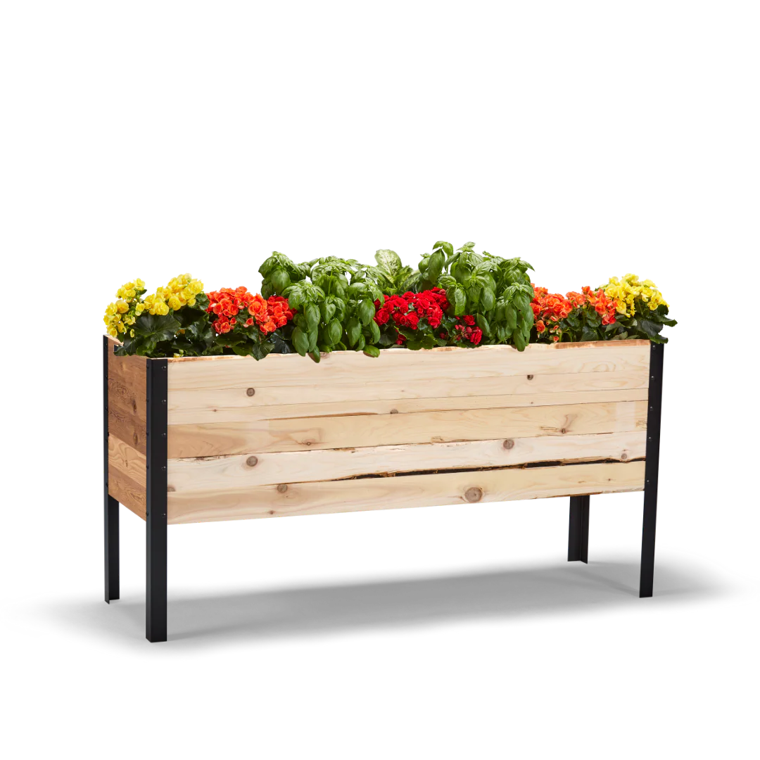 Raised Gardens - PDP